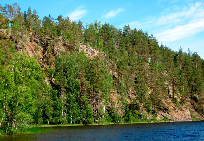 Главная